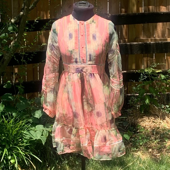 Cynthia Rowley Poppy Organza Peach Dress - Picture 12 of 15